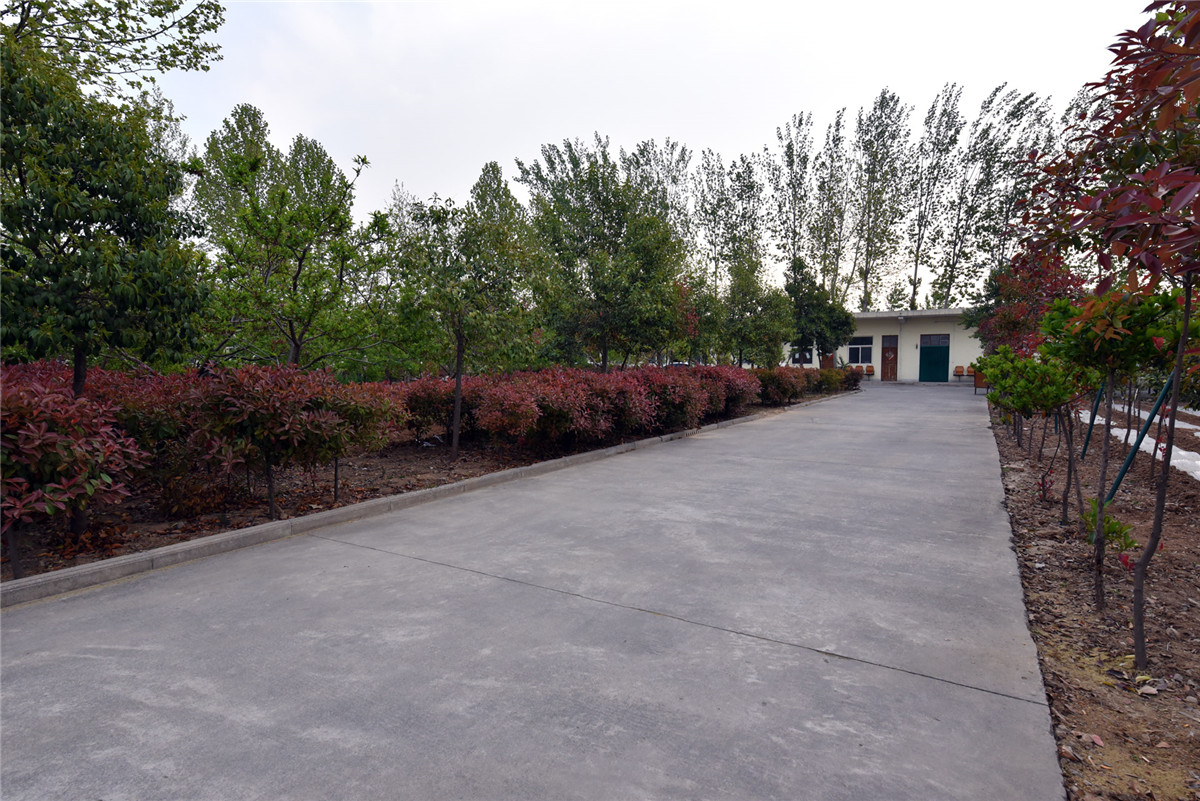 廠房（fáng）廠貌